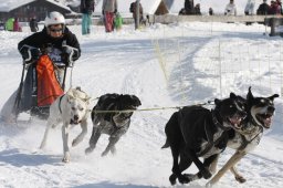 Lenk 2012 SM